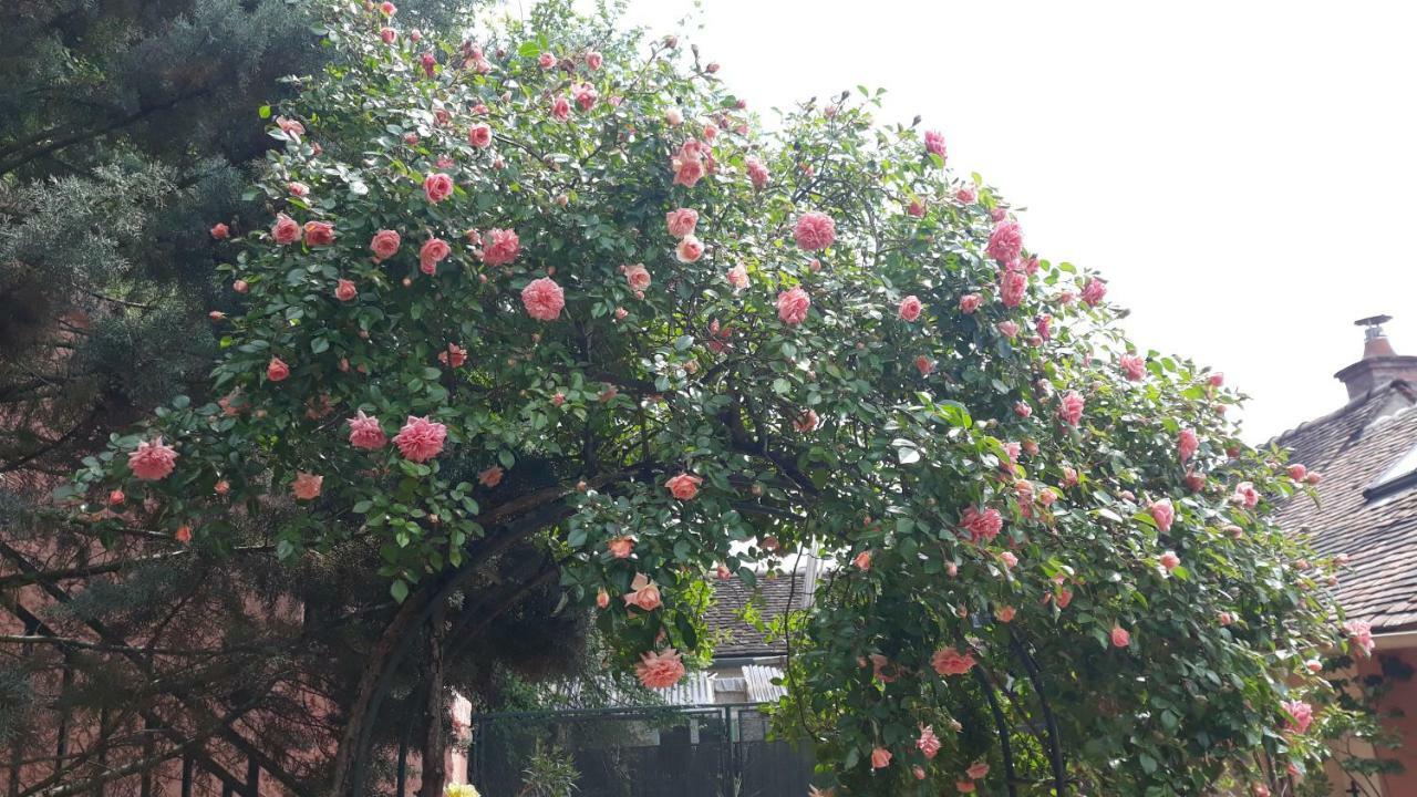 Hotel la maison rose: lieu atypique à Nemours Extérieur photo